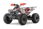 Preview: NITRO MOTORS 1500W 60V Eco midi Kinder Quad Warrior Graffiti Sport 8"